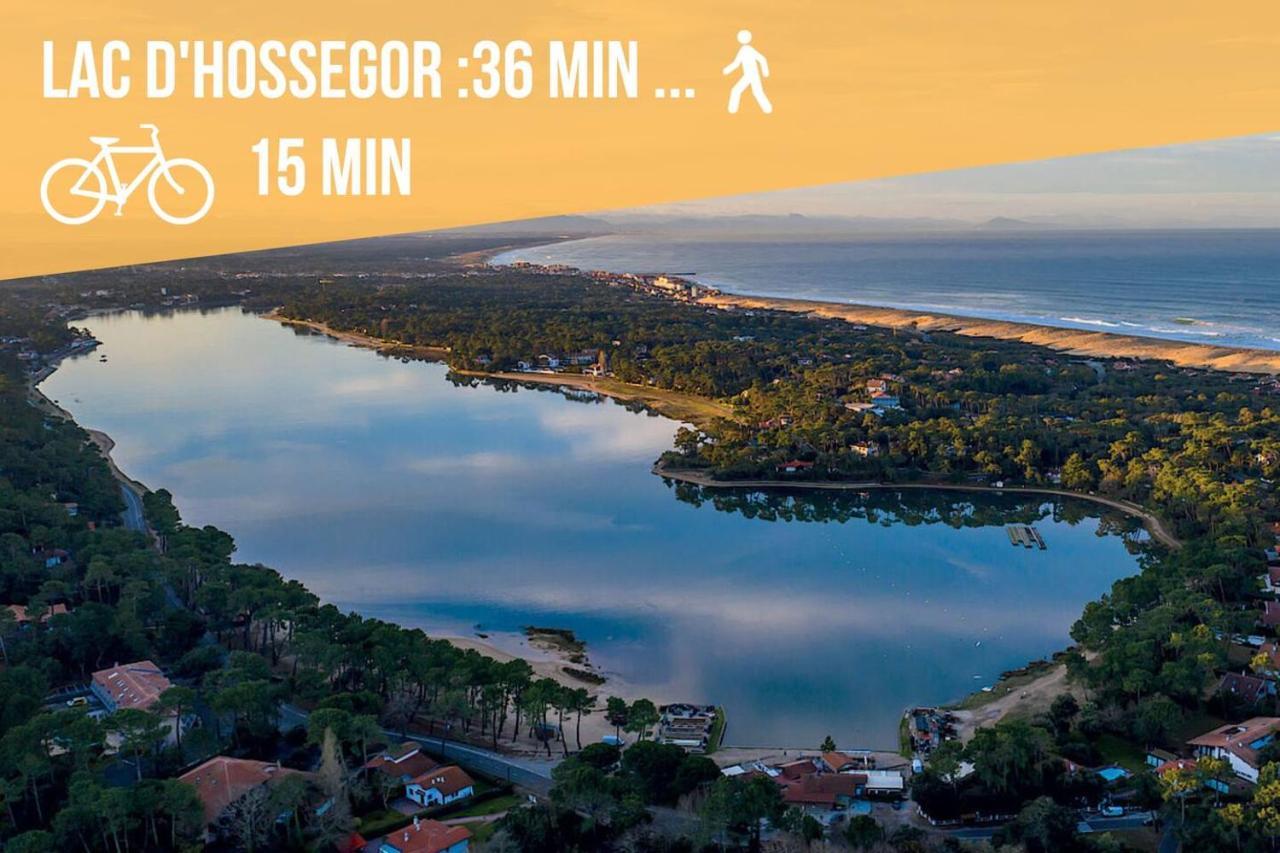 * Hossegor * Plage 100M * Vue Sur Les Pins *Surf Soorts-Hossegor Zewnętrze zdjęcie