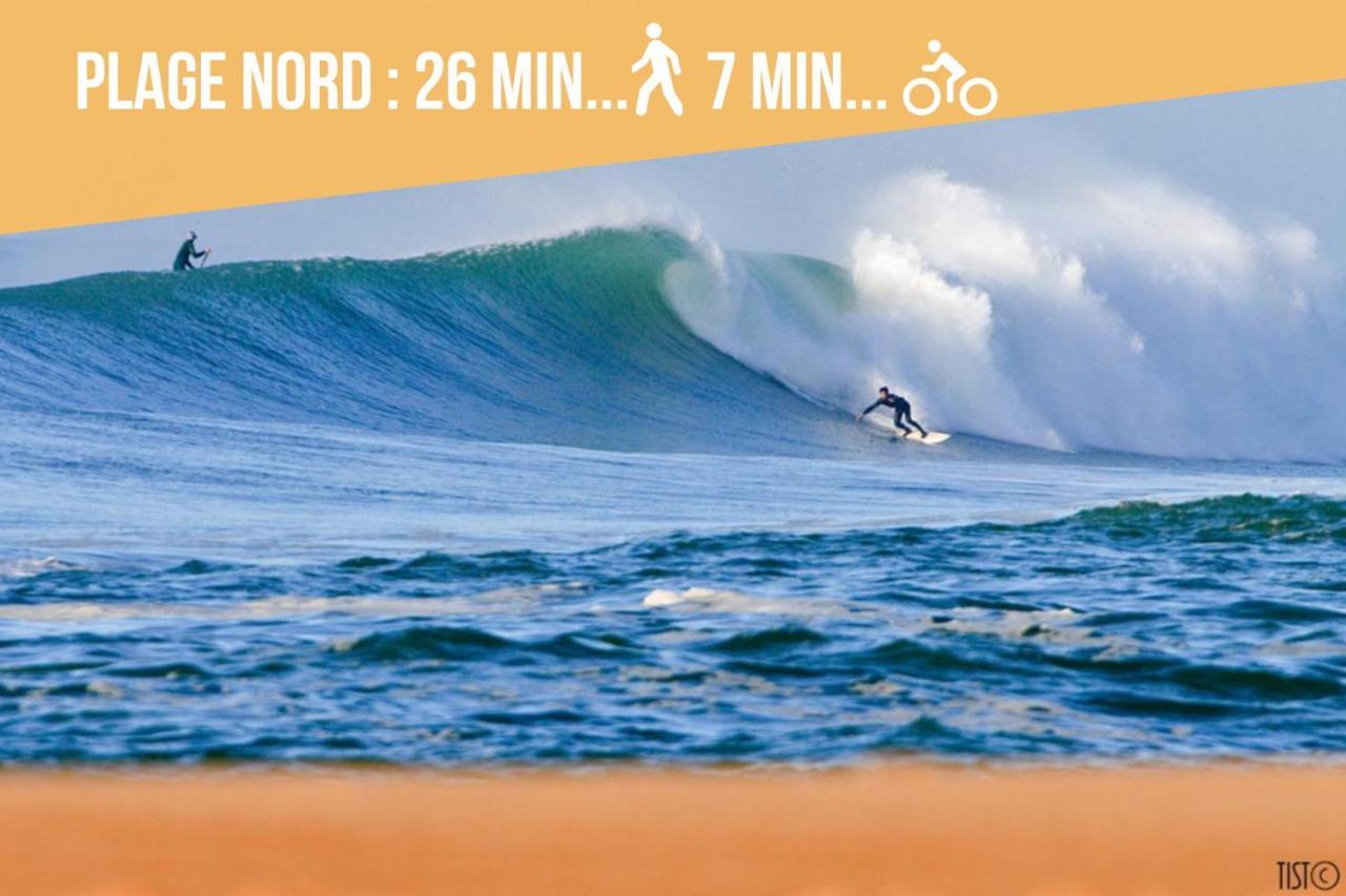 * Hossegor * Plage 100M * Vue Sur Les Pins *Surf Soorts-Hossegor Zewnętrze zdjęcie